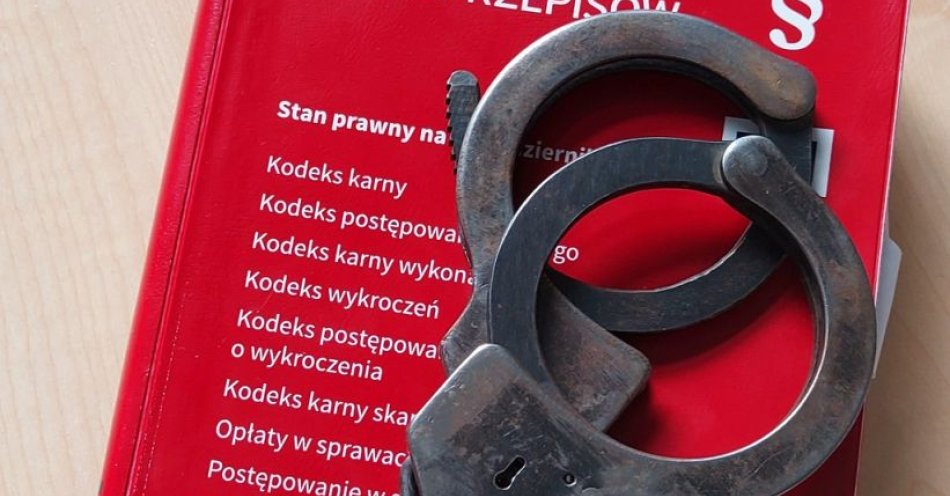 zdjęcie: Doprowadził do kolizji - miał sądowy zakaz prowadzenia samochodów / fot. KPP w Opocznie