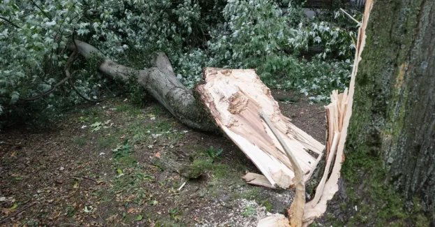 Północno-wschodnia Polska: sytuacja się poprawia, ale 65,5 tys. odbiorców bez prądu