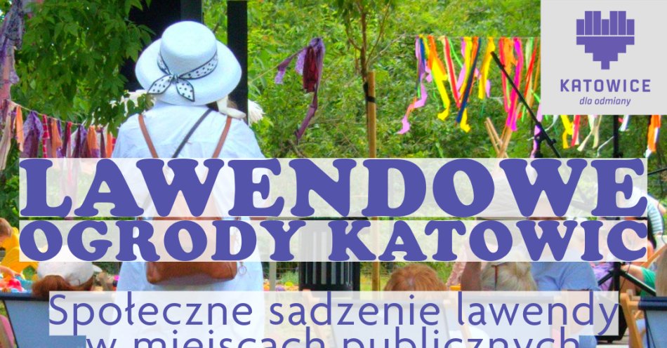 zdjęcie: Lawendowe ogrody Katowic / fot. nadesłane