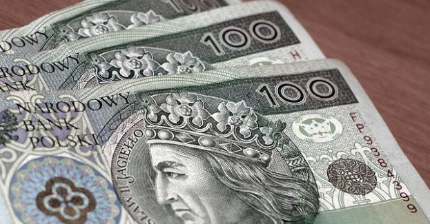 24 punkty karne i 2300 zł mandatu