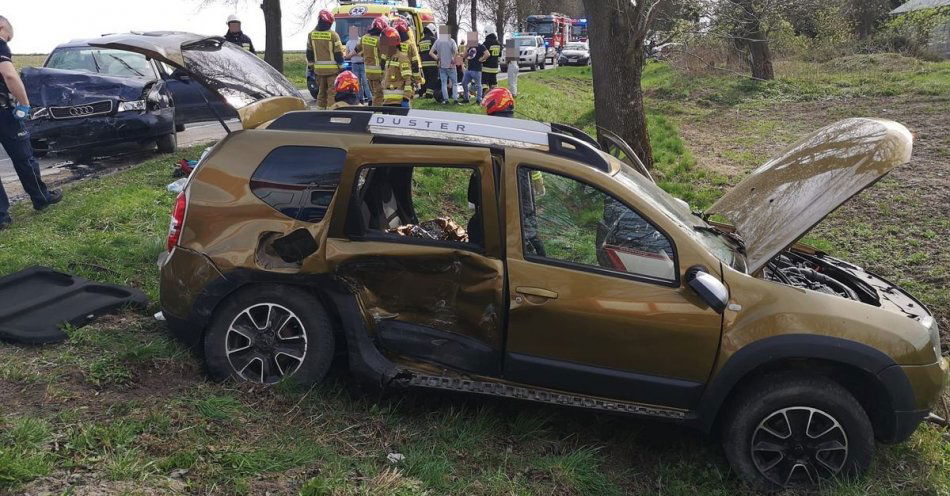 zdjęcie: Wypadek na DW-850 w Wożuczynie / fot. KPP Tomaszów Lubelski