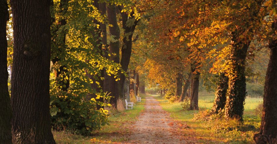 zdjęcie: Prognoza pogody na 10 i 11 września / pixabay/3124327