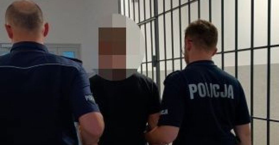 zdjęcie: Policjanci zatrzymali kuriera za przekroczenie prędkości - okazał się osobą poszukiwaną / fot. KPP w Zwoleniu