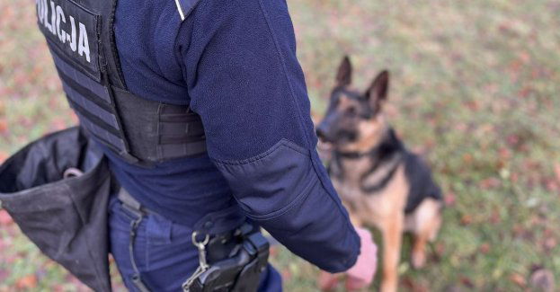 Skuter - spec od wykrywania materiałów minersko – pirotechnicznych