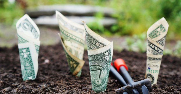 Na Gocławiu ktoś zgubił pieniądze. Przechodnie zbierali je z trawnika i chodnika