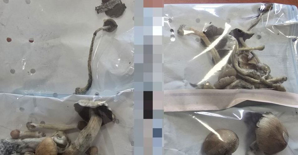 zdjęcie: Irracjonalne zachowanie i zabezpieczenie substancji psychoaktywnej - interwencja dzierżoniowskiej policji / fot. KPP w Dzierżonowie