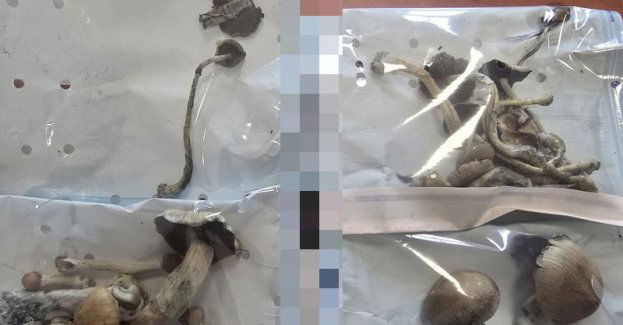 Irracjonalne zachowanie i zabezpieczenie substancji psychoaktywnej - interwencja dzierżoniowskiej policji