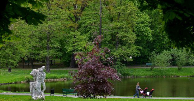 W niedzielę 2 lipca zapraszamy na spacer po Parku Julianowskim