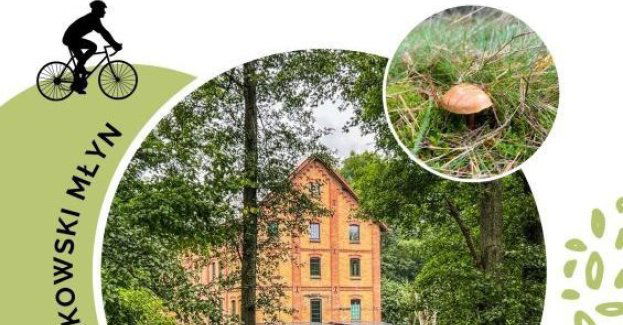 Rajd rowerowy Jesień w Borach