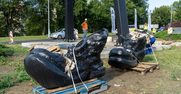 Drabina do nieba już góruje nad Rzeszowem. Trwa montaż pomnika