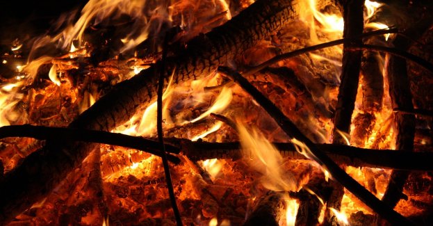 Od poniedziałku rusza akcja Bezpieczny Las 24