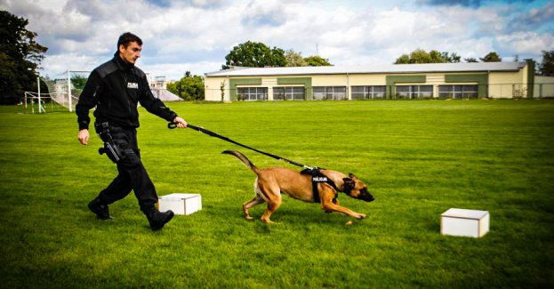 Narkotyki i ciastko z marihuaną dostał od kolegi