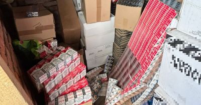 367 tys. papierosów bez akcyzy zabezpieczone w Bogatyni