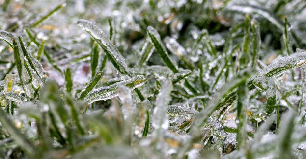 Ostrzeżenia IMGW przed intensywnymi opadami śniegu i gołoledzią