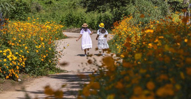 Bezpieczeństwo dziecka na drodze