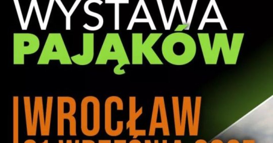 zdjęcie: Wystawa Pająków / kupbilecik24.pl / Wystawa Pająków