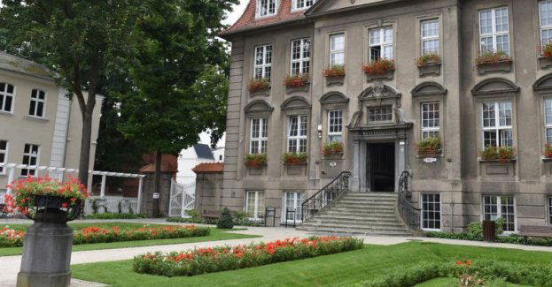 Kino plenerowe w ogrodzie Biblioteki