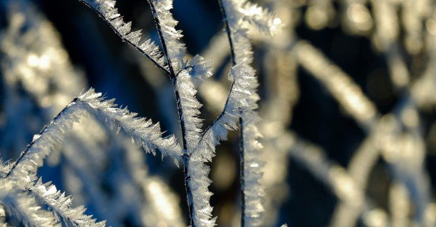 Przemarznięta kobieta prosiła o pomoc kierowców, nikt nie reagował