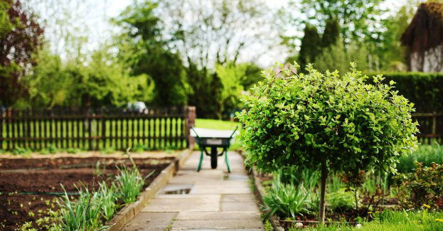 Włamywacz do altany zatrzymany