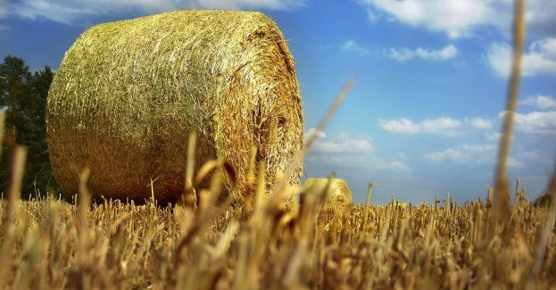 Proces w sprawie kradzieży paszy; sprawcę pomogła złapać fotopułapka i GPS