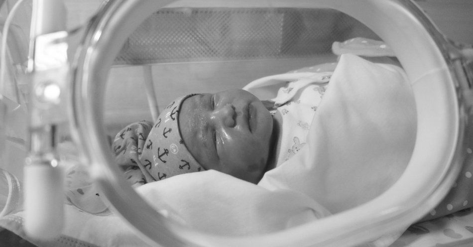 zdjęcie: Nieprawidłowości w opiece neonatologicznej w woj. warmińsko-mazurskim / pixabay/2453297