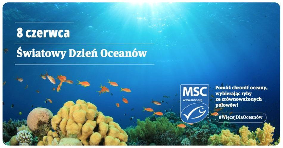 zdjęcie: Naukowcy alarmują: bioróżnorodność oceanów na granicy załamania - wciąż mamy szansę na ratunek 8 czerwca - Światowy Dzień Oceanów / fot. nadesłane