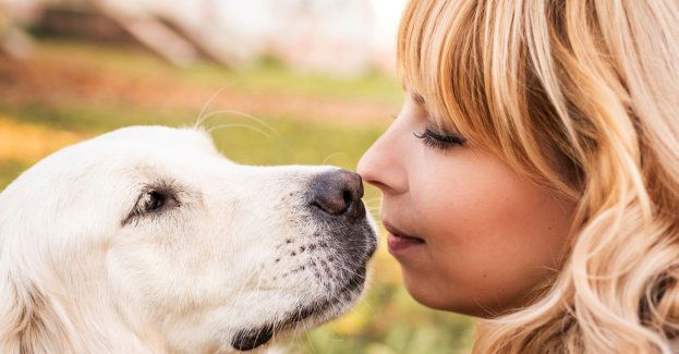 Psy terapeutyczne wspierają leczenie pacjentów psychiatrycznych