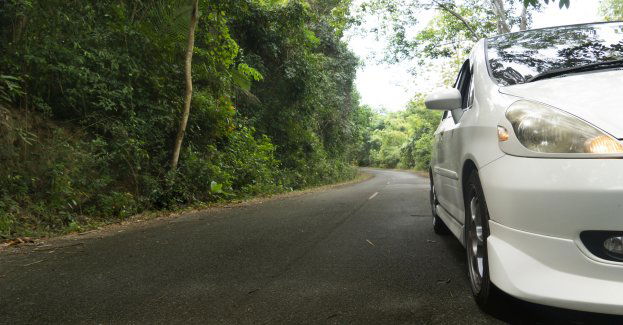 Nie blokujcie dróg i wjazdów do lasu