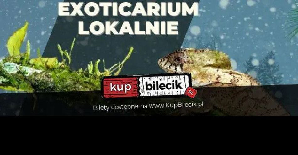 zdjęcie: EXOTICARIUM GDYNIA - TARGI TERRARYSTYCZNE!  8 luty 2026 SP52 Hala Sportowa / kupbilecik24.pl / EXOTICARIUM GDYNIA – TARGI TERRARYSTYCZNE!  8 luty 2026 | SP52 Hala Sportowa