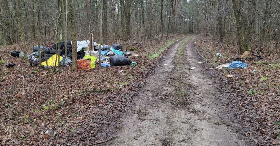 zdjęcie: Mandat i obowiązek sprzątania za wywóz śmieci do lasu / fot. KPP w Pajęcznie