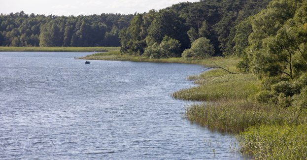 Gostynińsko-Włocławski Park Krajobrazowy - relaks w lesie i nad jeziorem