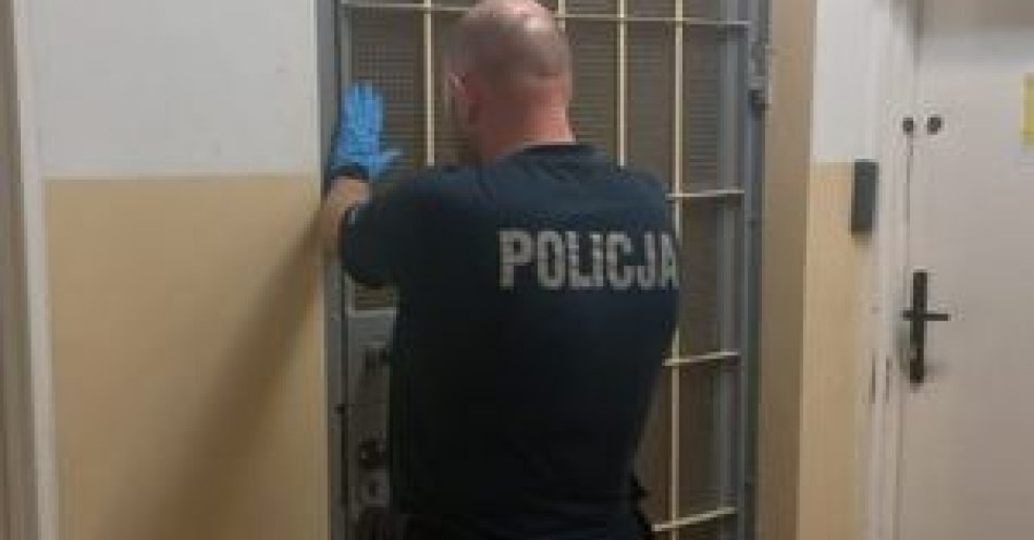 zdjęcie: Kryminalni zabezpieczyli konopie hodowane w mieszkaniu / fot. KPP w Sztumie
