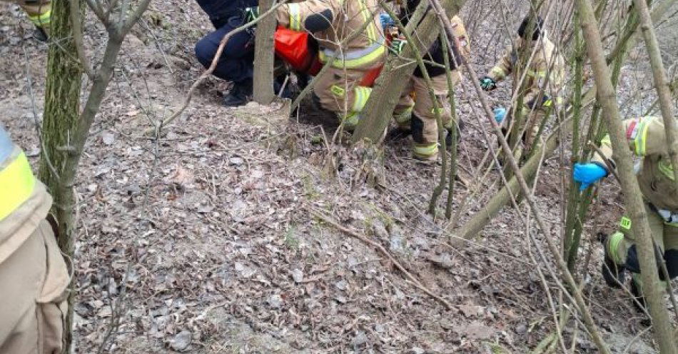 zdjęcie: Wigilijne poszukiwania: policjanci uratowali kobietę z hipotermią / fot. KPP Opatów Policjanci i strażacy w terenie