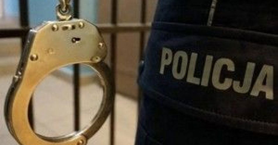 zdjęcie: Chciał uniknąć odbycia kary, został zatrzymany / fot. KPP w Pułtusku