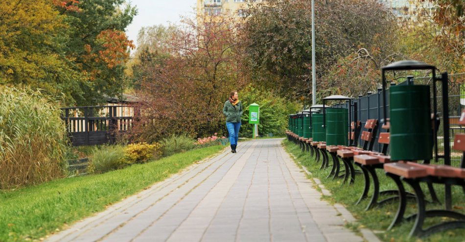 zdjęcie: Zniszczył osiedlowe ławki. Grozi mu wyższy wymiar kary / pixabay/7471704