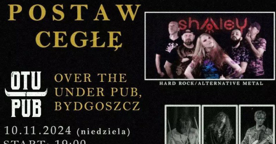 zdjęcie: Postaw cegłę - Koncert  dla powodzian / kupbilecik24.pl / Postaw cegłę - Koncert  dla powodzian