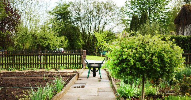 Wpadł na ogródkach działkowych