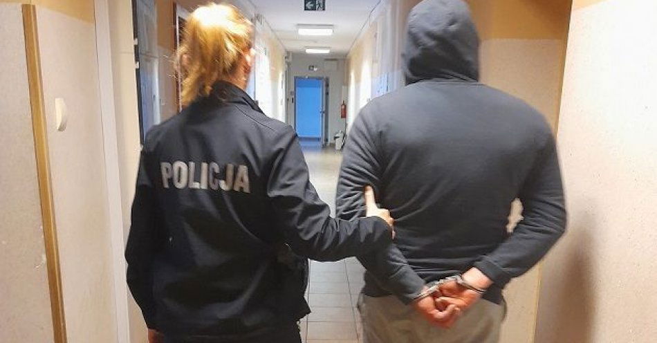 zdjęcie: Posiadali znaczną ilość narkotyków i usiłowali nimi handlować - zostali zatrzymani przez policjantów / fot. KPP w Pruszczu Gdańskim