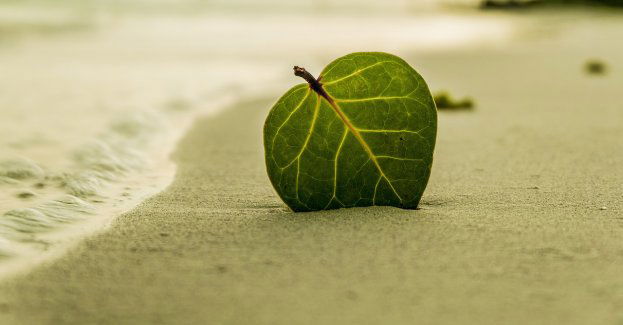 Urząd Morski przygotowuje się do remontu Bulwaru Nadmorskiego od strony morza