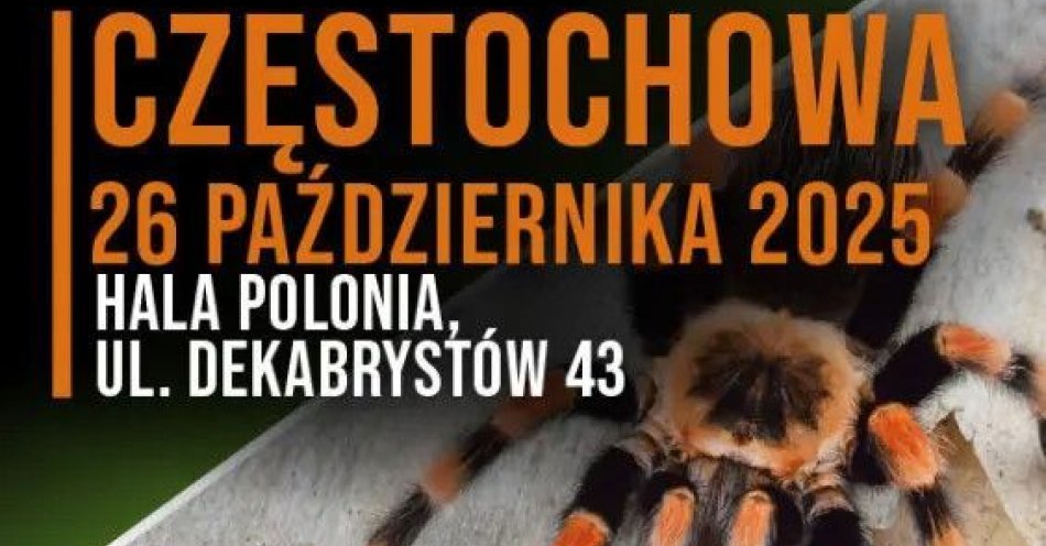 zdjęcie: Wystawa Pająków w Częstochowie / kupbilecik24.pl / Wystawa Pająków w Częstochowie