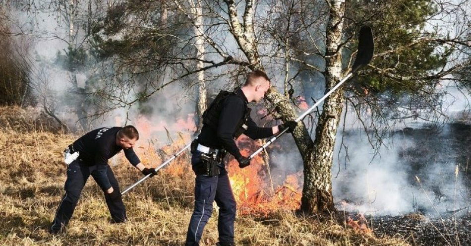 zdjęcie: Policjanci ugasili pożar traw i powstrzymali zagrożenie lasu / fot. KPP w Polkowicach