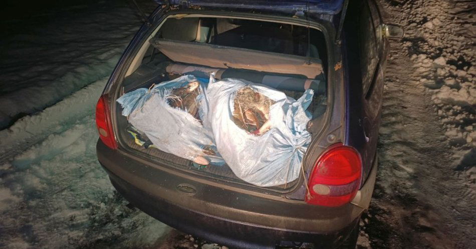 zdjęcie: Nocny połów przerwała akcja policji nad Gopłem / fot. KPP Inowrocław