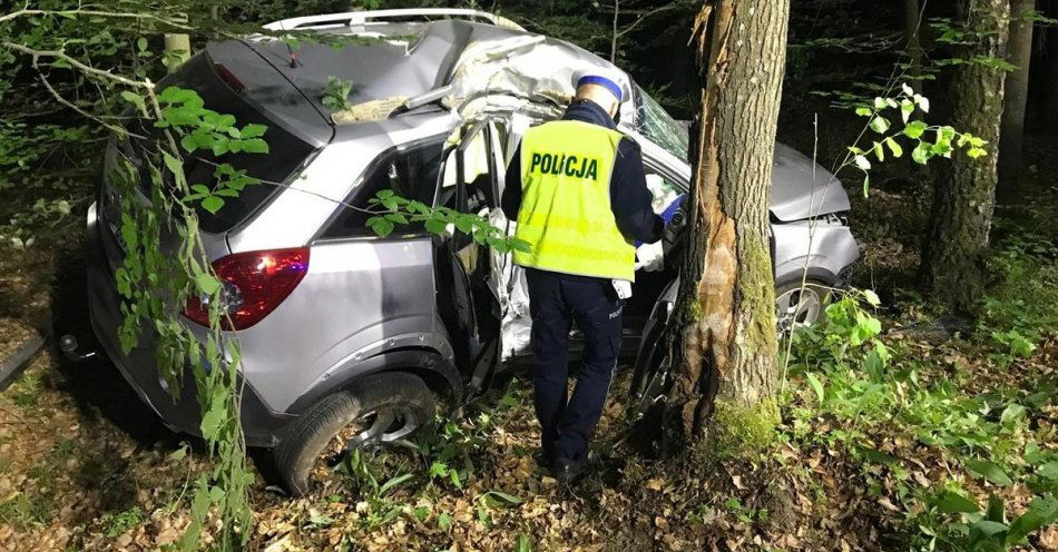 zdjęcie: Policjanci pracowali na miejscu śmiertelnego wypadku drogowego w miejsc. Czapielsk (p. gdański, gm. Kolbudy). / fot. KPP w Pruszczu Gdańskim