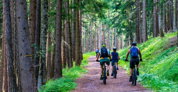 XCM Miłosna powraca, czyli cykliści na start