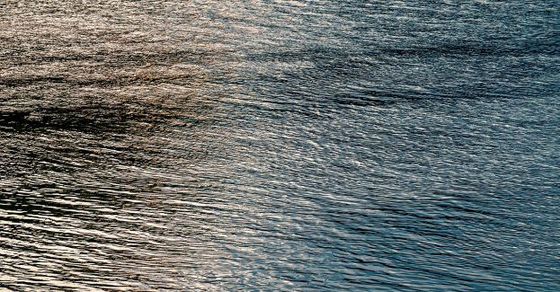 Zwłoki w korycie Żabnicy