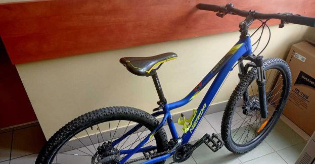 Odpowie za kradzieże