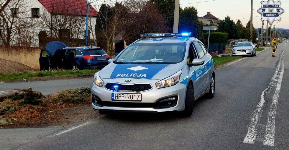 zdjęcie: Nietrzeźwy kierowca spowodował kolizję w Samborowicach / fot. KPP w Raciborzu