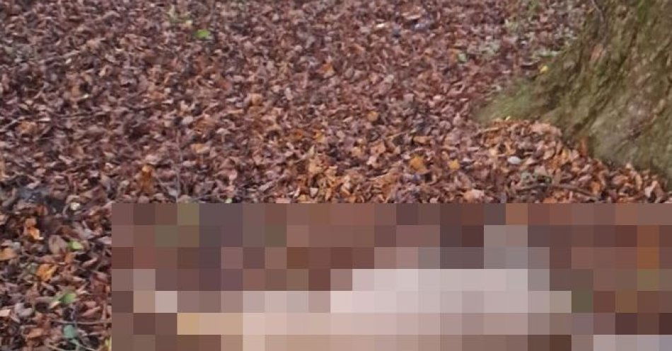 zdjęcie: Mężczyzna niósł padłą sarnę na plecach i stanie przed sądem / fot. KPP Hrubieszów