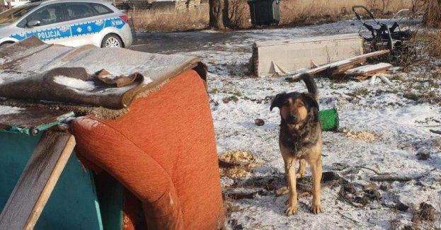 Policjanci apelują ! psy pozostawione na mrozie - zamarzają!!