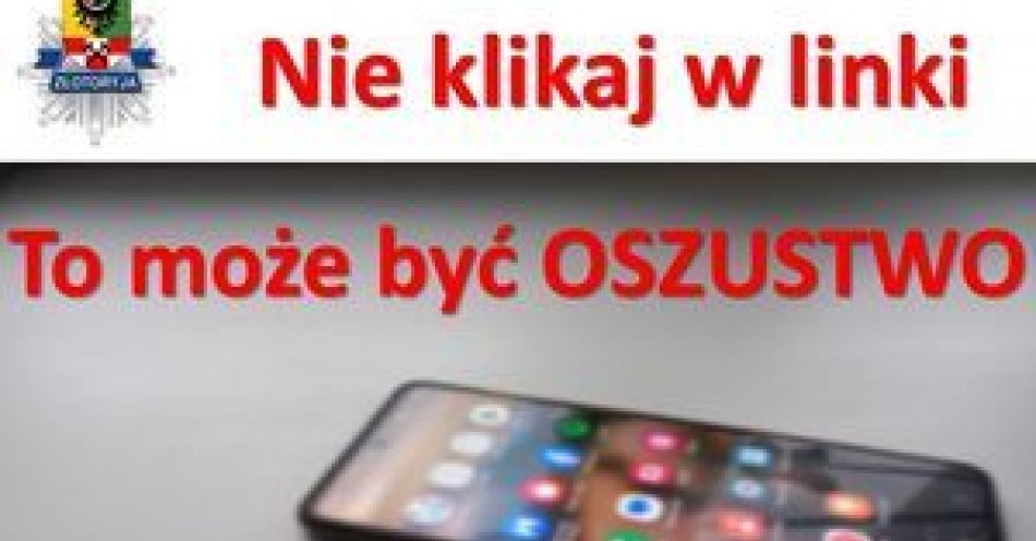 zdjęcie: Sprzedając zabawkę dziecięcą za 80 złotych, straciła niemal 3 tysiące złotych / fot. KPP w Złotoryi